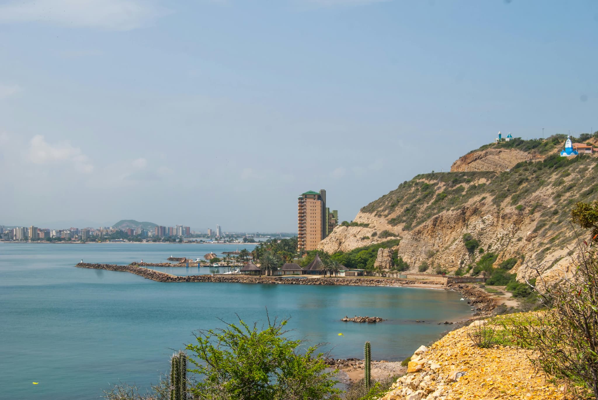 Asking ‘What Can I Do?’ for Venezuela with Donnatella Bove Parra
